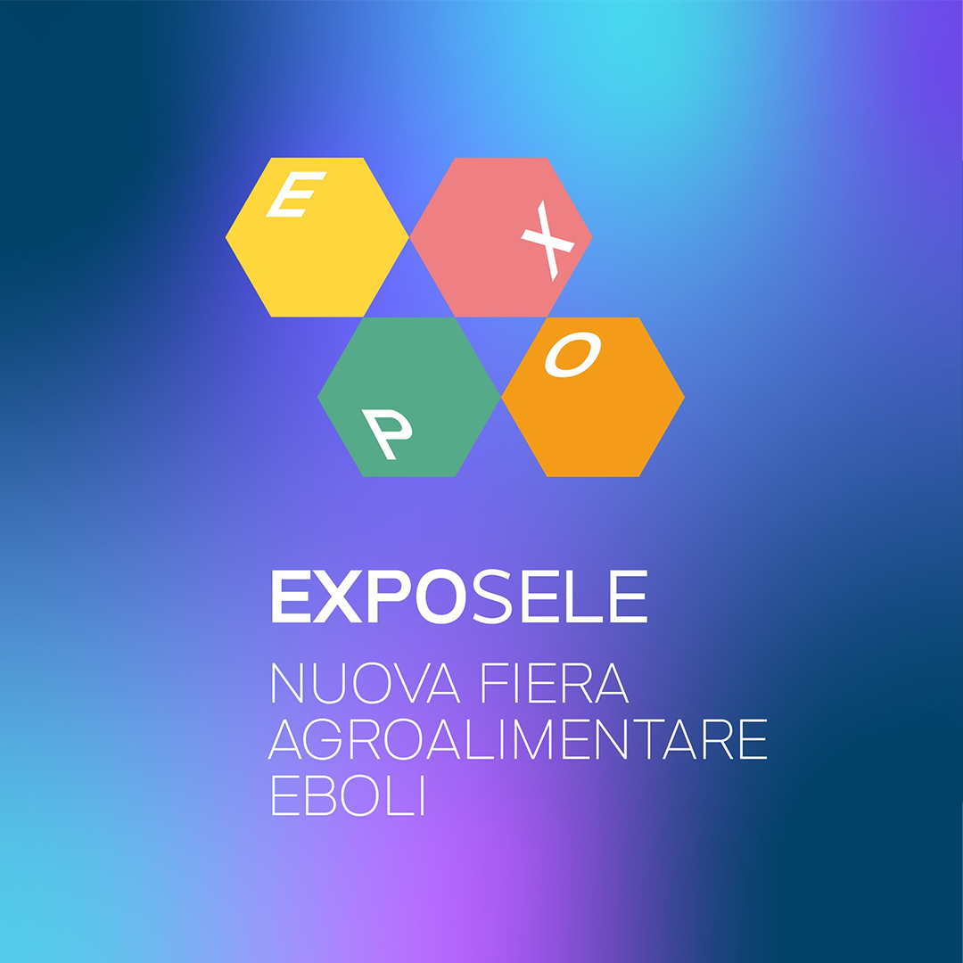 locandina di exposele composta da uno sfondo blu e 4 esagoni colorati con la parola "expo"