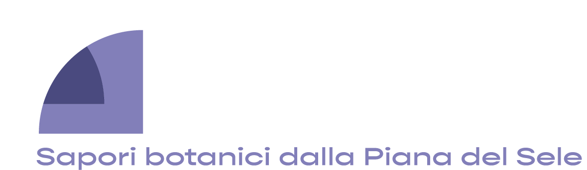 Bottega Meristema