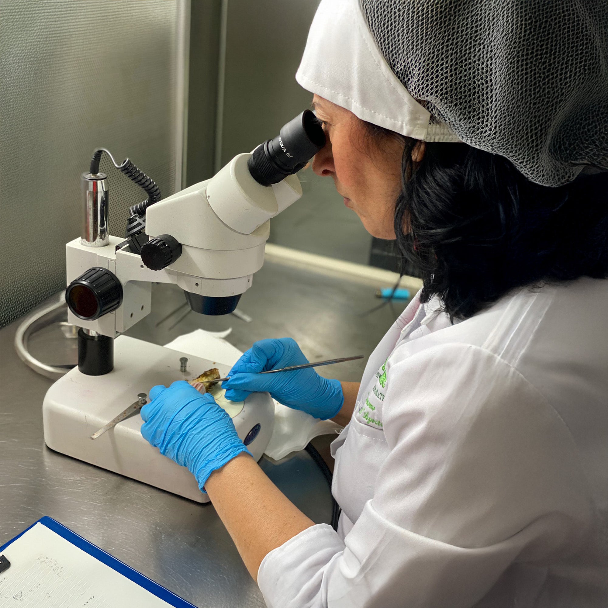 una ricercatrice con camice, cuffia e guanti guarda nel microscopio